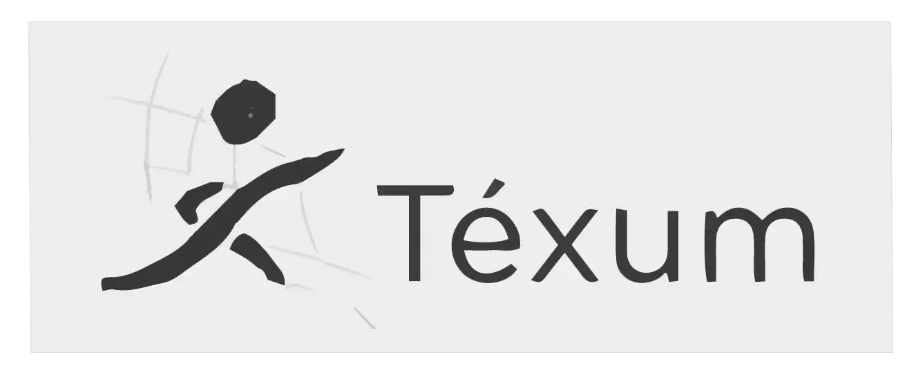 logo-texum-correccionessantaella